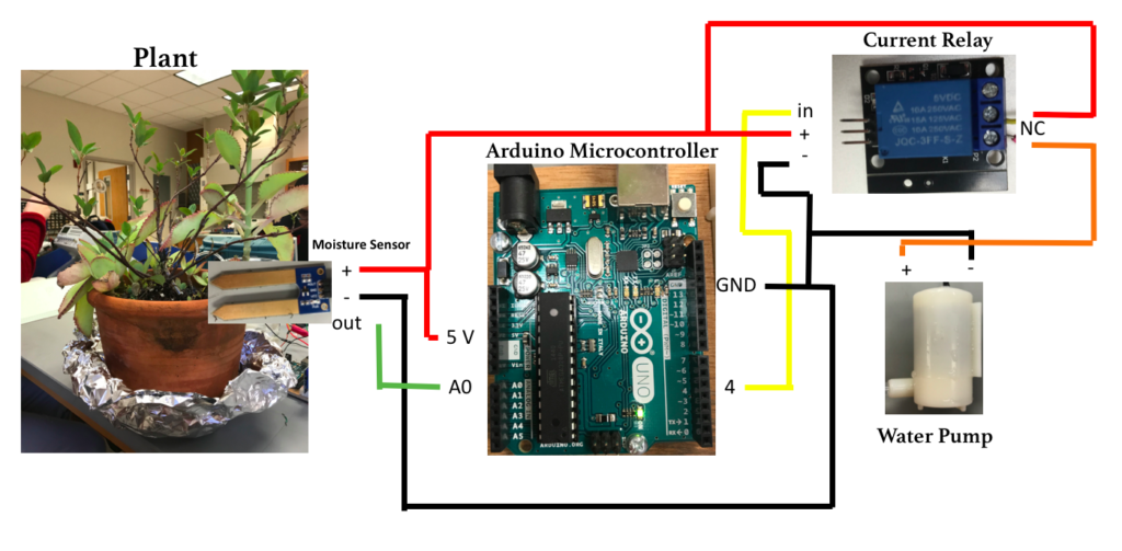 Building an Automatic Plant Watering System with an Arduino